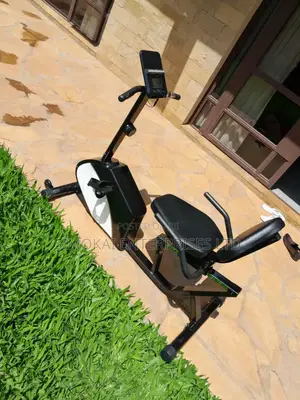 16 Levels 150kg Recumbent Bike