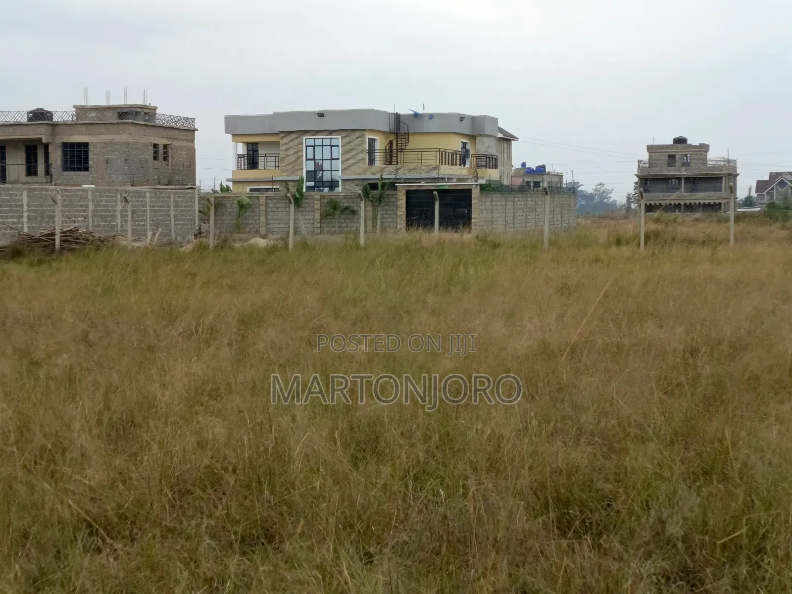 Tola Estate 50*100