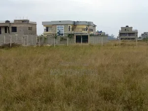 Tola Estate 50*100