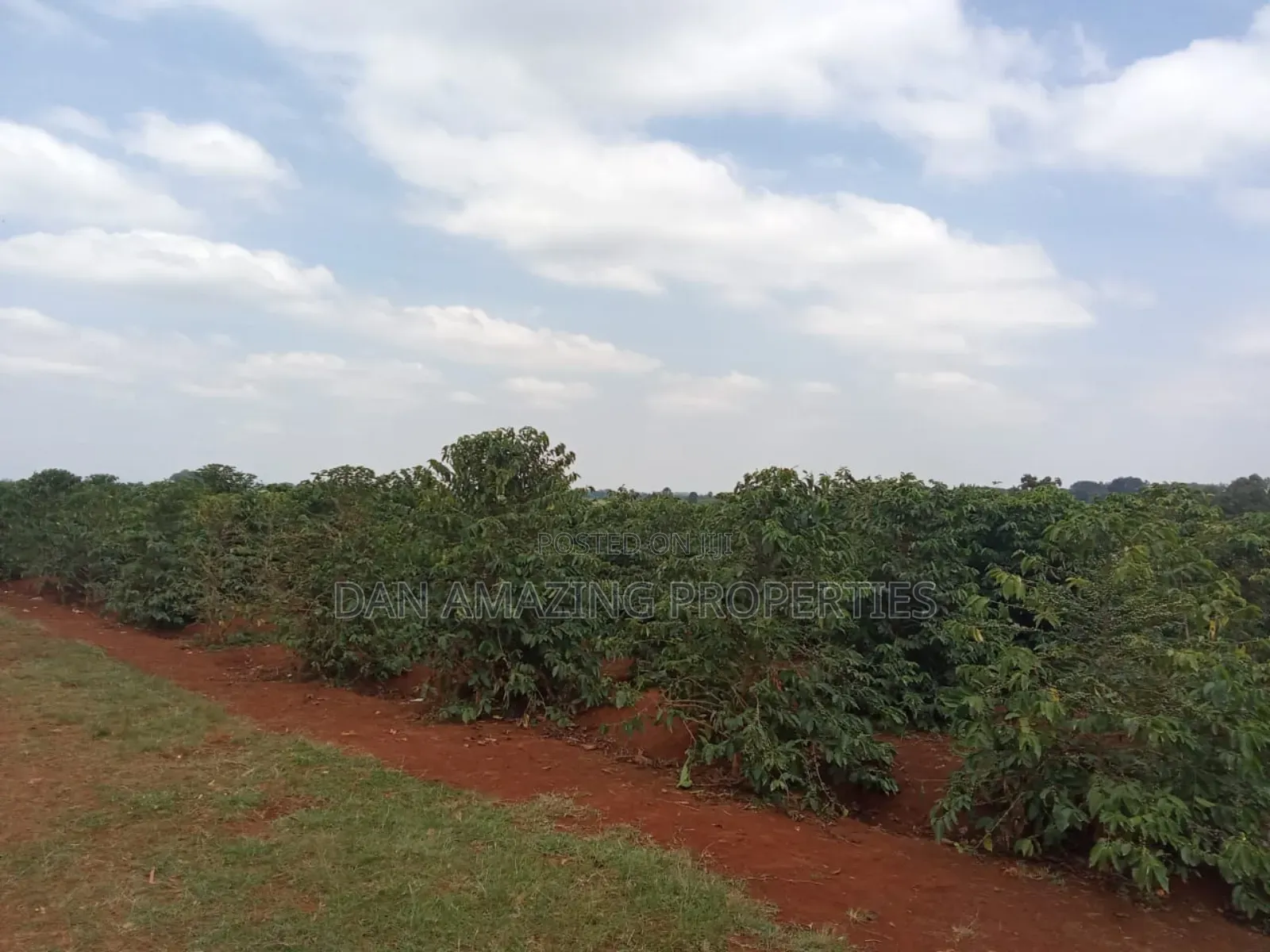 1/4 Acres Fully Serviced Plots for Sale Along Kiganjo Road