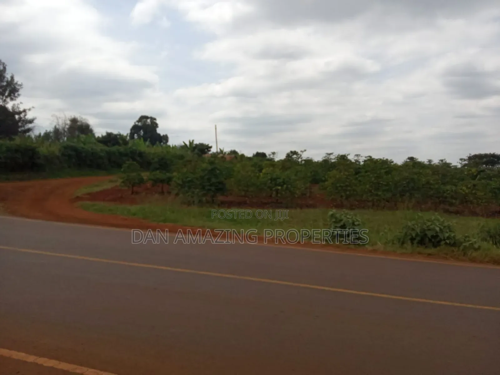 1/4 Acres Fully Serviced Plots for Sale Along Kiganjo Road