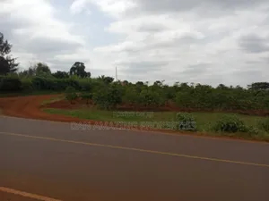 1/4 Acres Fully Serviced Plots for Sale Along Kiganjo Road