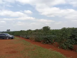 1/4 Acres Fully Serviced Plots for Sale Along Kiganjo Road