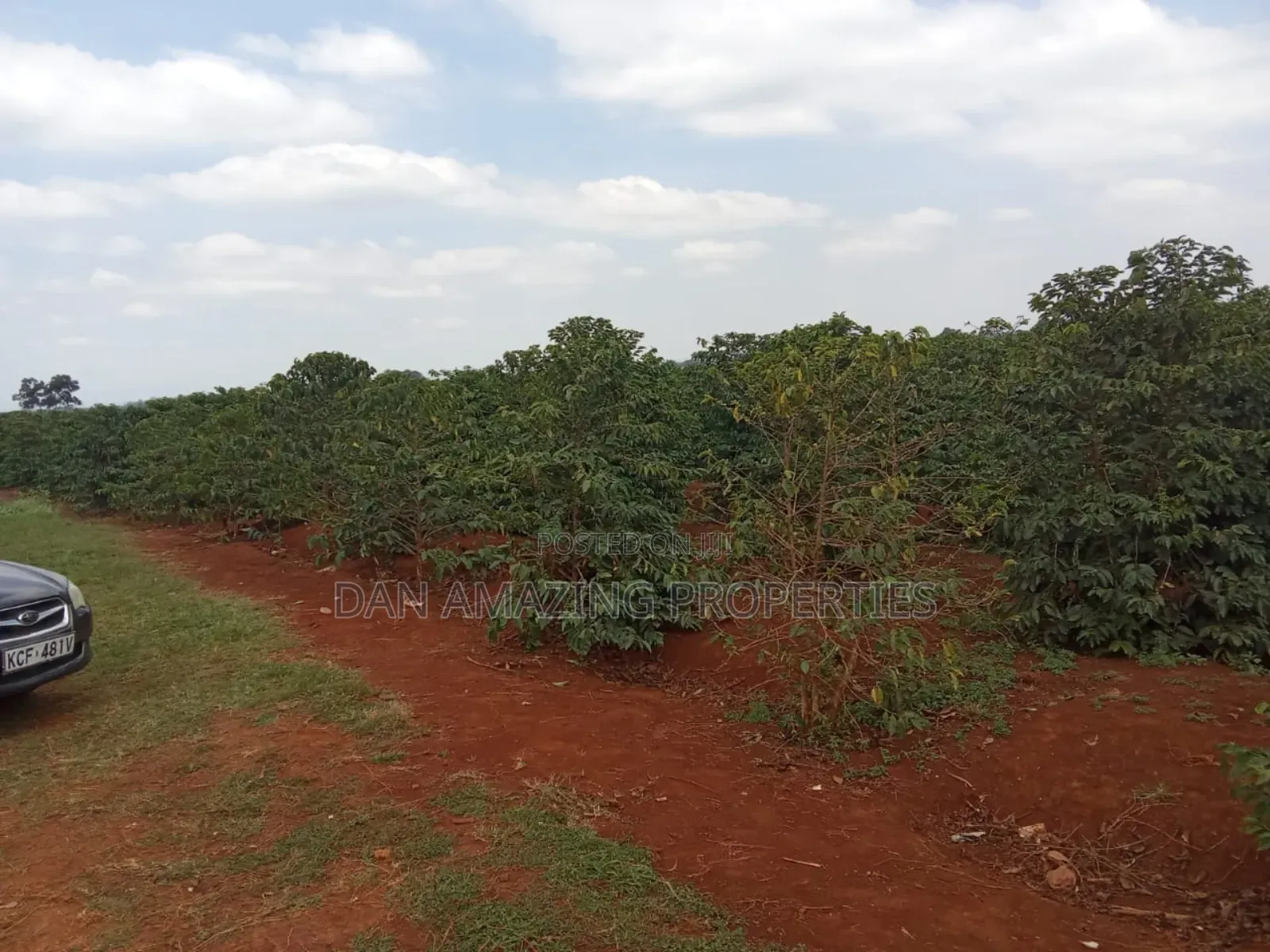1/4 Acres Fully Serviced Plots for Sale Along Kiganjo Road