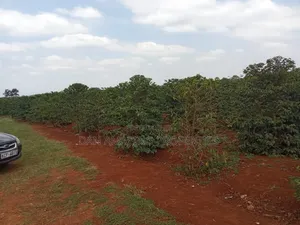 1/4 Acres Fully Serviced Plots for Sale Along Kiganjo Road