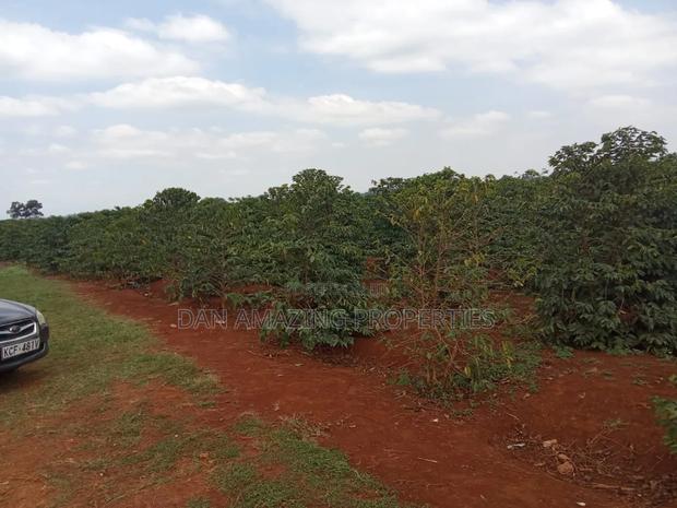 1/4 Acres Fully Serviced Plots for Sale Along Kiganjo Road - thumbnail 5