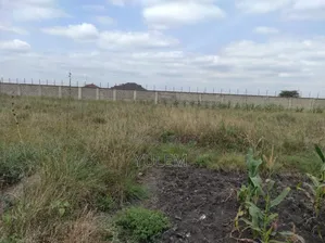 1 Acre Residential Land for Sale in Mlolongo