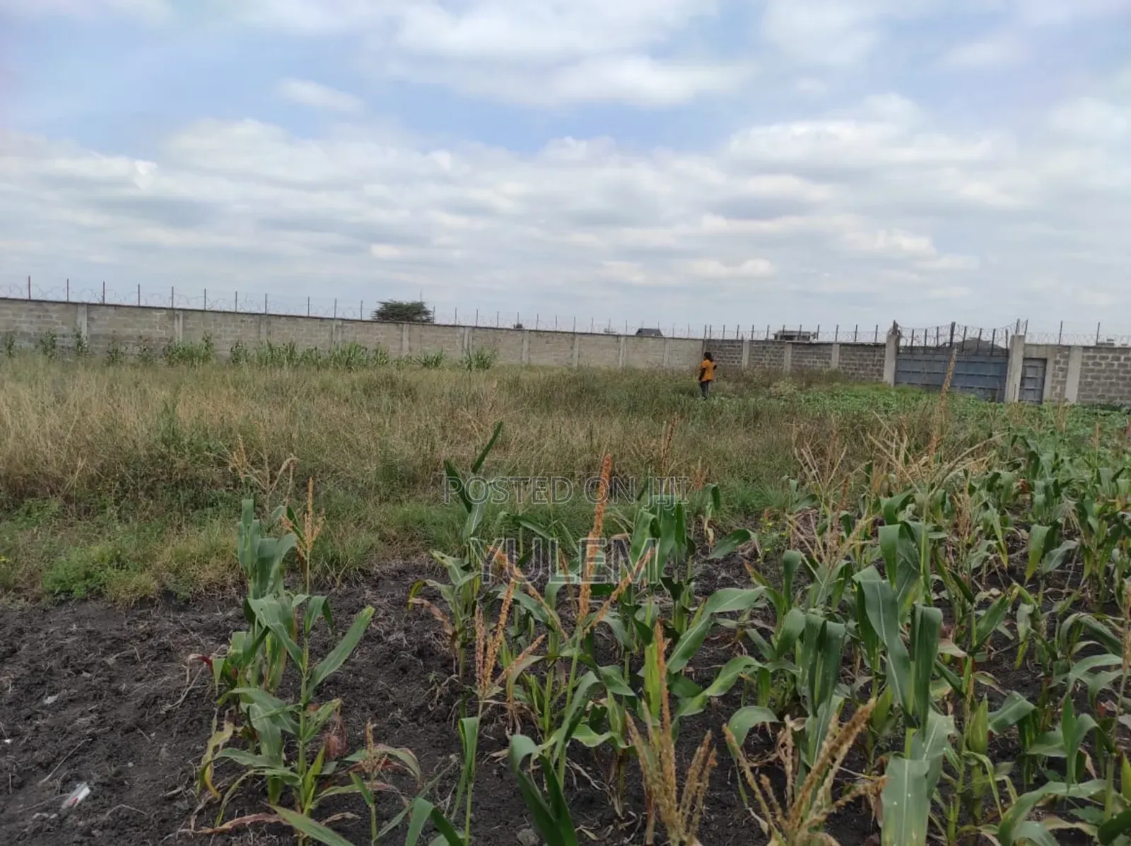 1 Acre Residential Land for Sale in Mlolongo