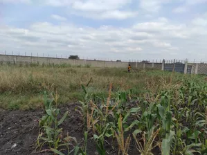 1 Acre Residential Land for Sale in Mlolongo