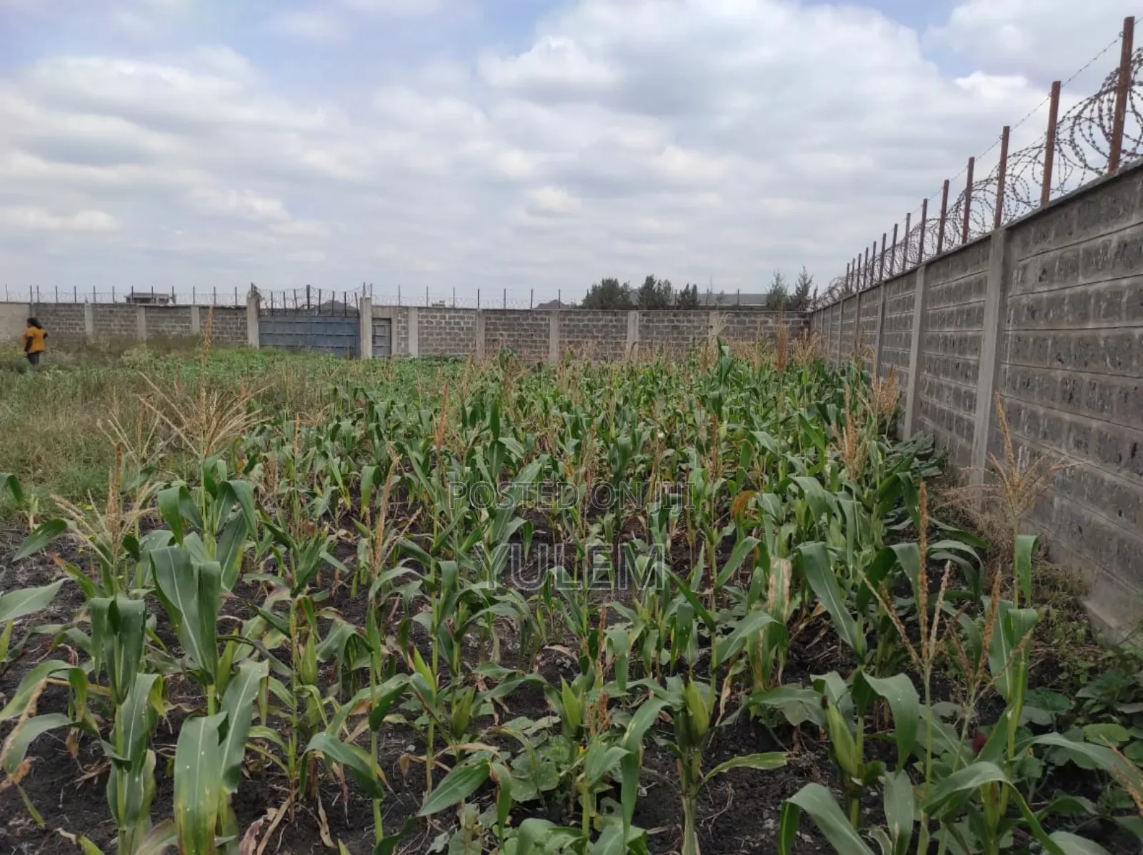 1 Acre Residential Land for Sale in Mlolongo