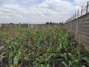 1 Acre Residential Land for Sale in Mlolongo