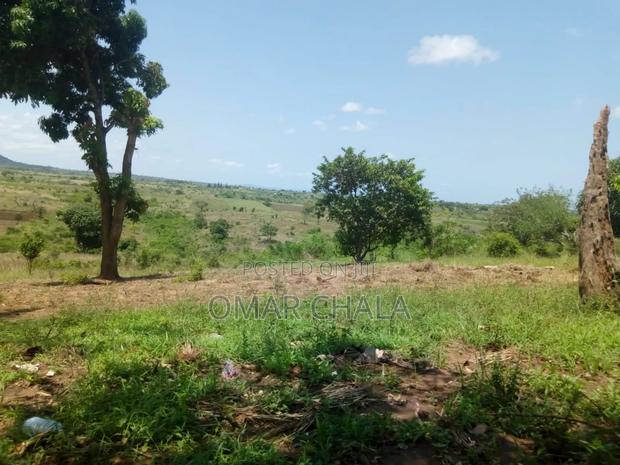 Matuga Plot - main view