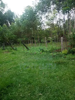 Prime Two Plots (Quarter Acre) for Sale at Makutano Malaha Webuye