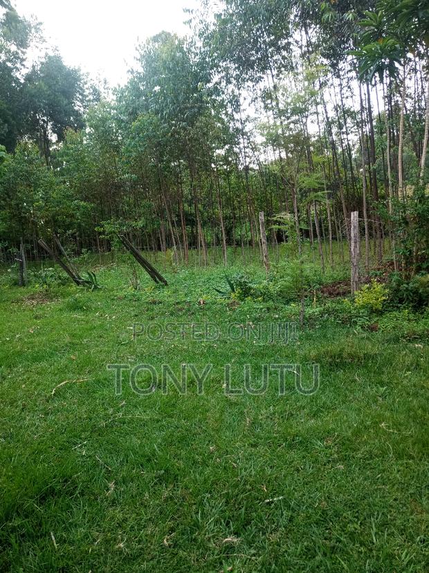 Prime Two Plots (Quarter Acre) for Sale at Makutano Malaha Webuye
