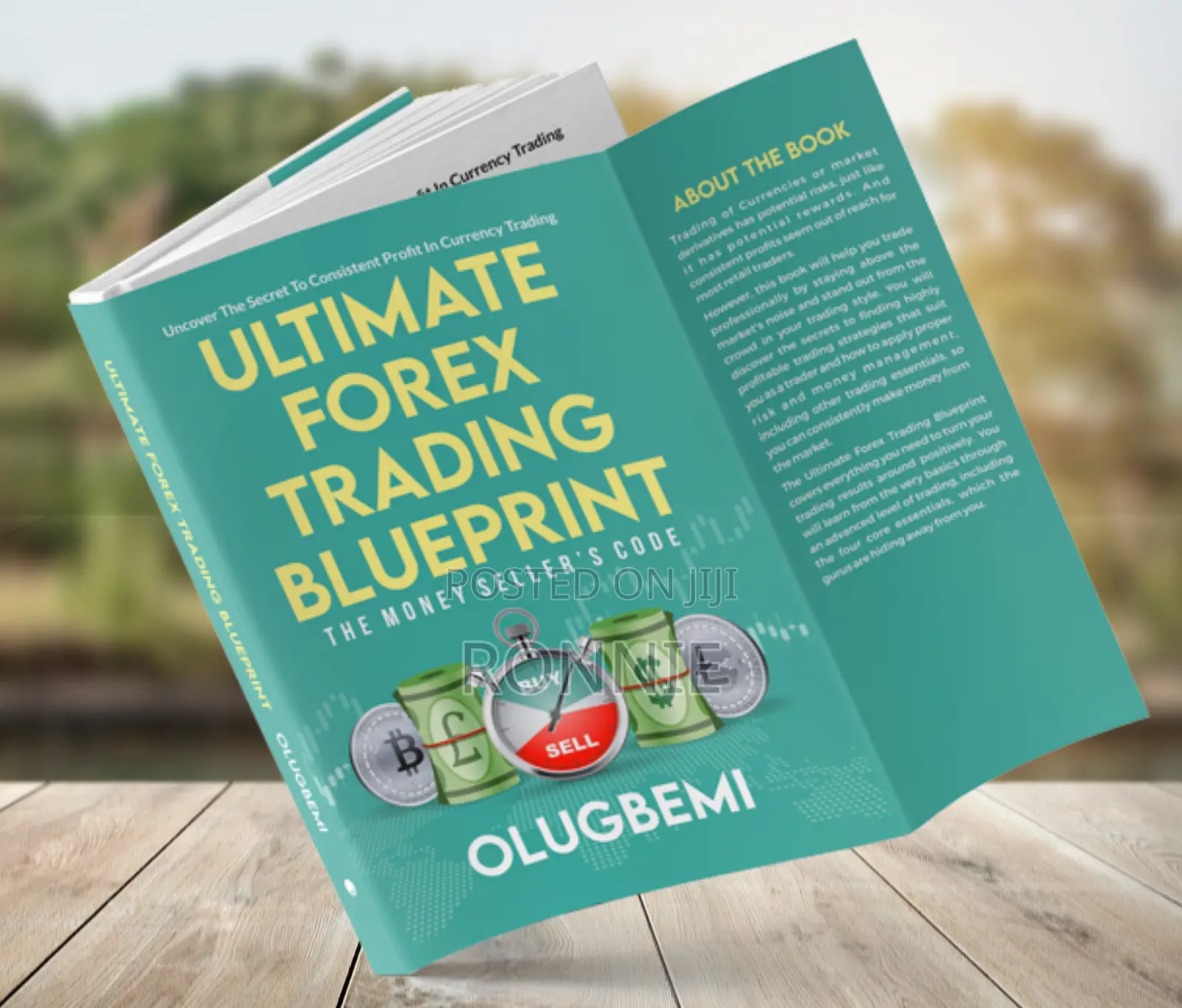 ULTIMATE FOREX TRADING BLUEPRINT Book by Olugbemi Oyewale