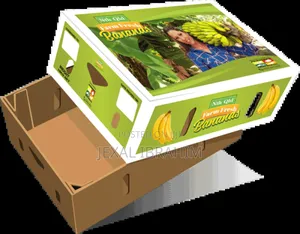 Exports of Fruits and Vegetables Boxes