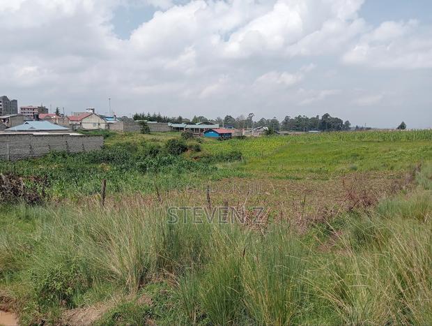 Plot ( Selling to Settle Some Bills) - main view