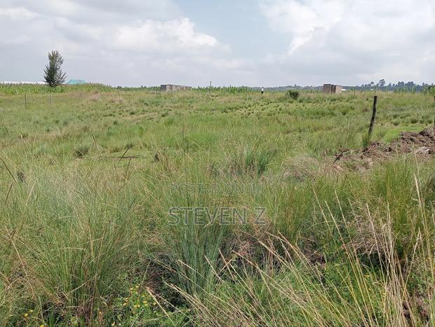 Plot ( Selling to Settle Some Bills) - thumbnail 2