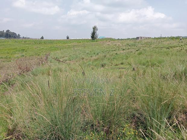 Plot ( Selling to Settle Some Bills) - thumbnail 3