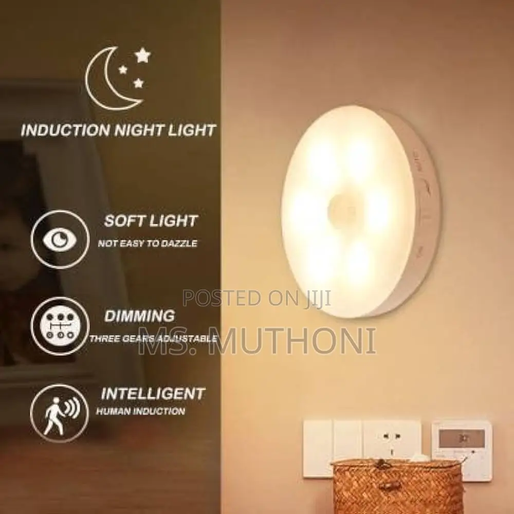 Intelligent Induction Lamp