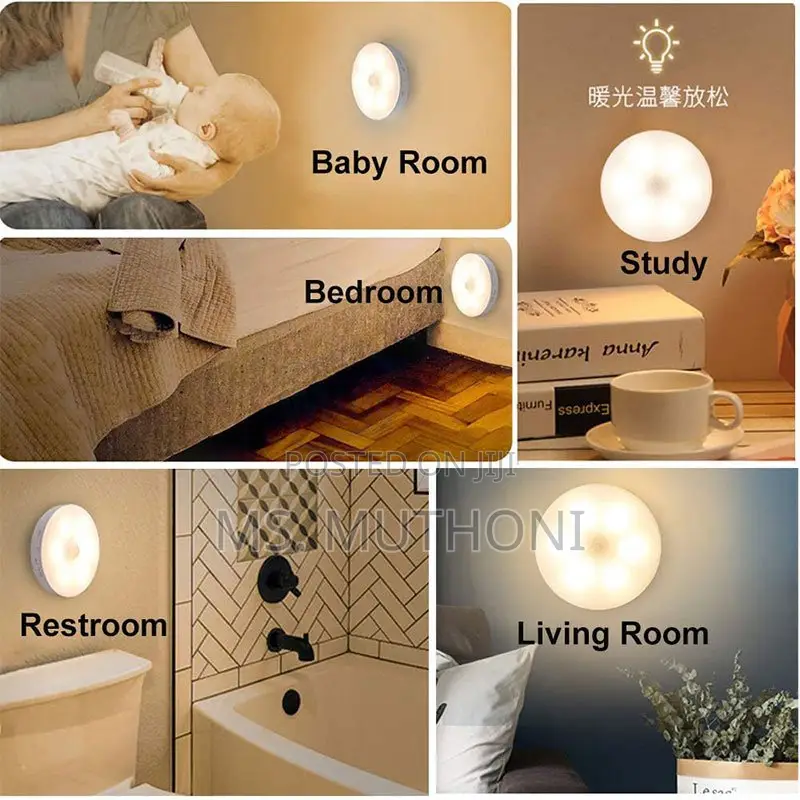 Intelligent Induction Lamp