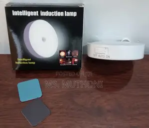 Intelligent Induction Lamp