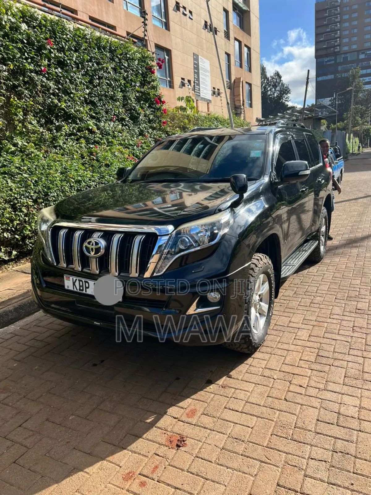 Prados for Hire