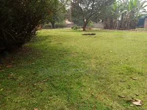 House for Sale in Nyari