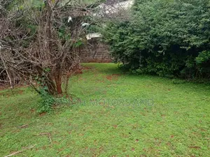 House for Sale in Nyari