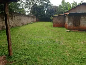 House for Sale in Nyari