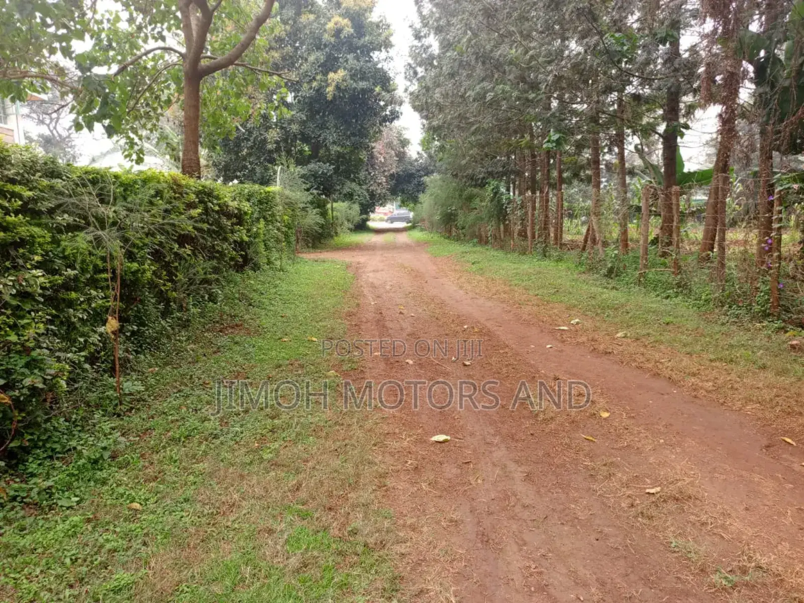 House for Sale in Nyari