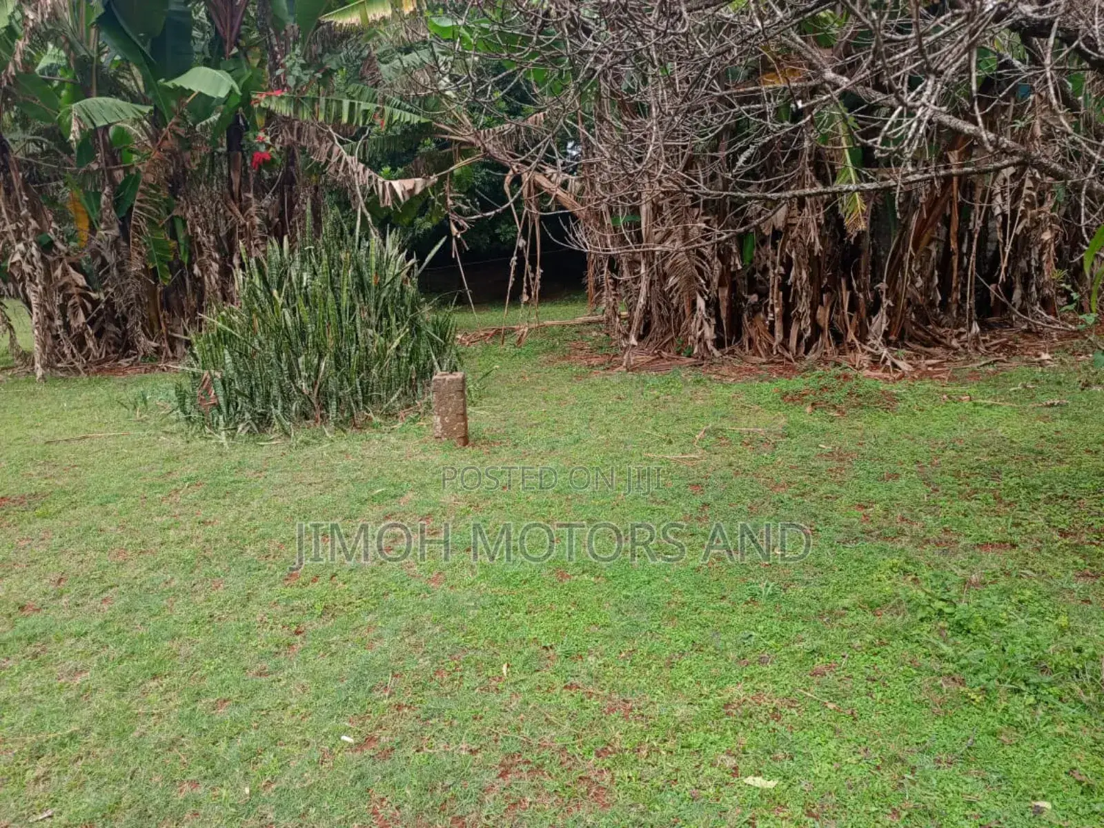 House for Sale in Nyari