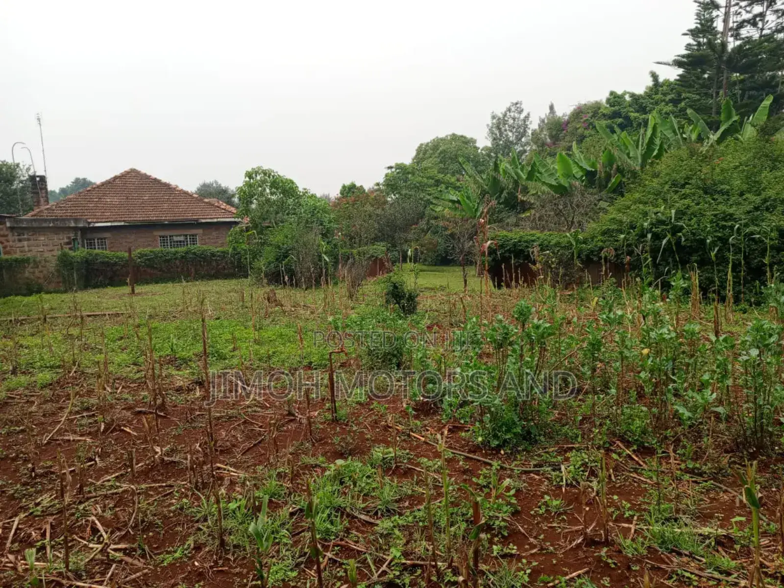 House for Sale in Nyari