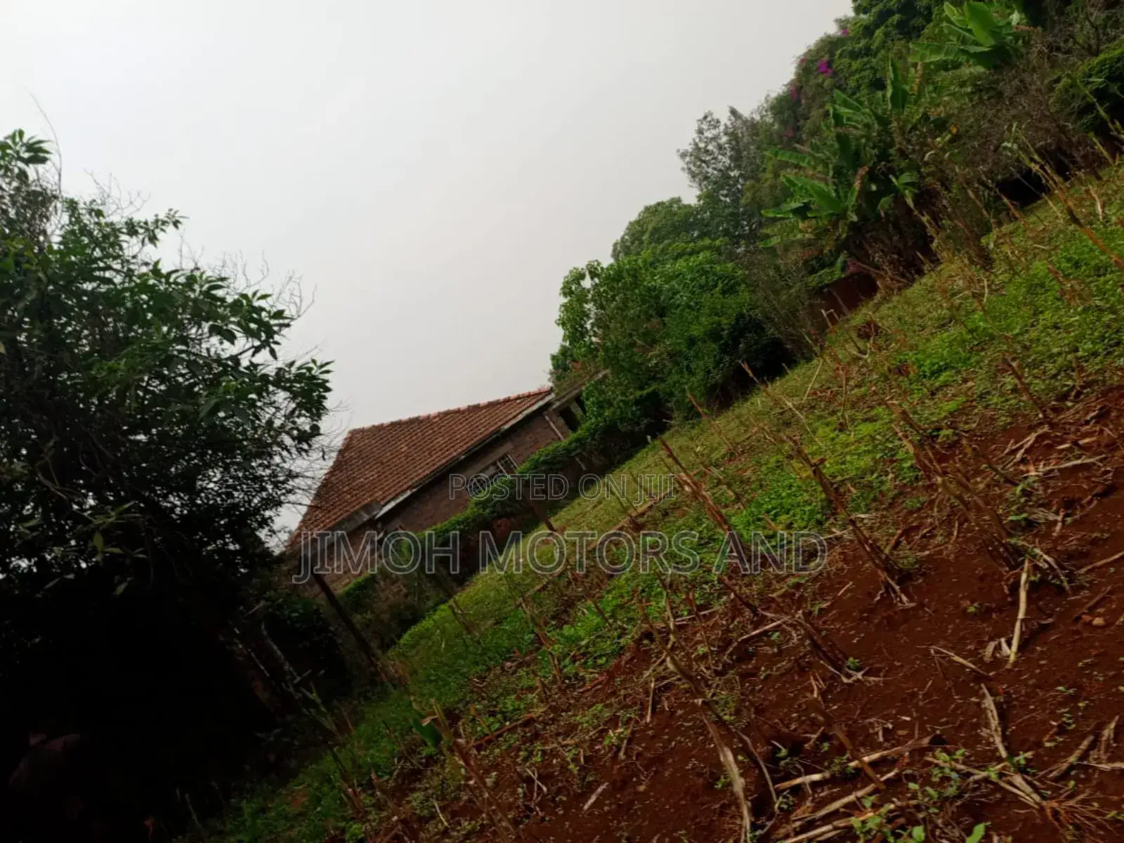 House for Sale in Nyari