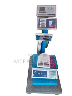 Digital Scale Repair Precise Calibration Services (All Types)