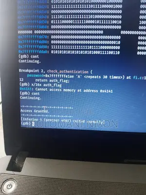 Cyber Security and Ethical Hacking