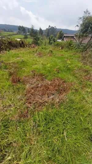 Plot for Sale in Kimende Lari