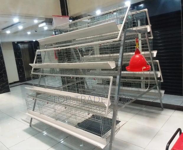 Quality Layer Chicken Cages 128 Chicken Capacity