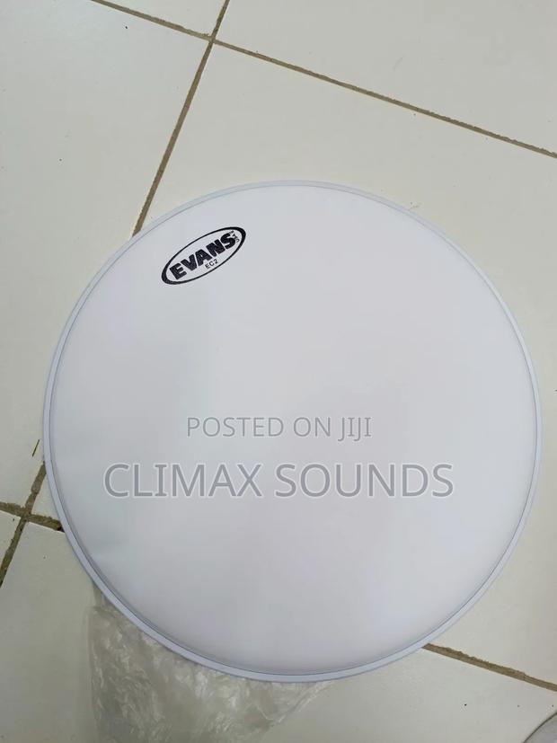 Evans Snear Drum Membrane, 14 - main view