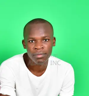 Software Developer