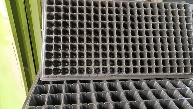 Seedlings Tray, Seedings Garden - main view