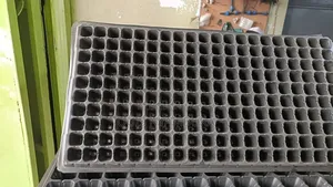 Seedlings Tray, Germinating Tray