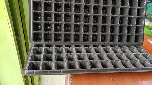 Seedlings Tray, Germinating Tray. - main view
