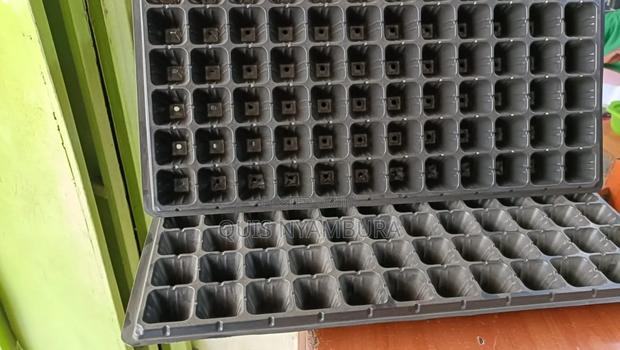 Seedlings Tray, Germinating Tray. - thumbnail 2
