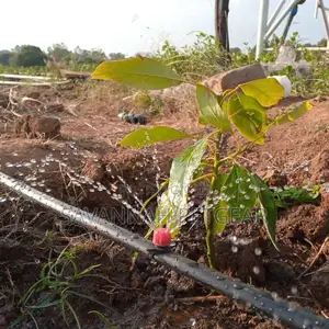 Button Drippers for Orchards Farming Irrigation Drippers