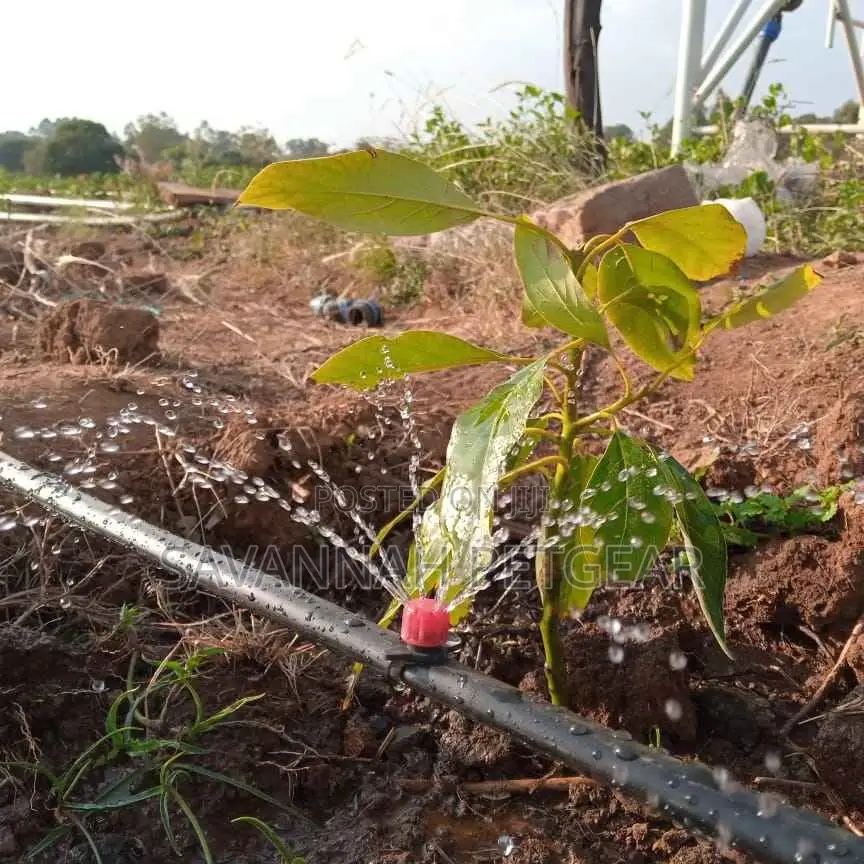 Button Drippers for Orchards Farming Irrigation Drippers