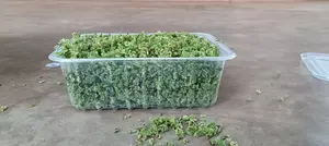 Azolla Starter Pack With PDF Guide - 2000 Ml Pallet