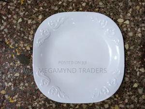 6pc Melamine Plates/White Plates