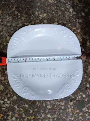 6pc Melamine Plates/White Plates