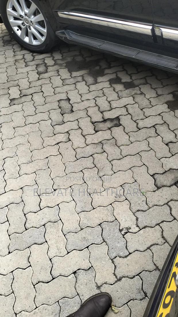 Cotton Bolls - thumbnail 2